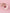 Medium Ceramic Garlic Grater Plate — Sakura