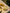 Small Ceramic Garlic Grater Plate — Limone