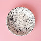 Large Ceramic Garlic Grater Plate — Galaxia