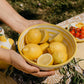 Ceramic Serving Bowl 1.5 L — Limone