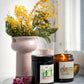 Medium Scented Soy-Wax Candle "La Mer" (Amber)