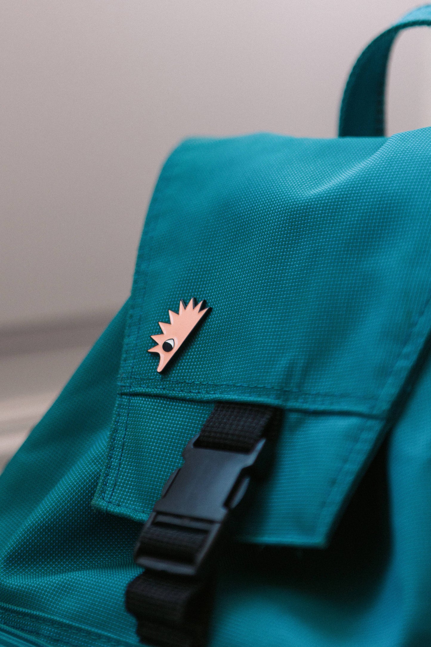Pin Hedgehog
