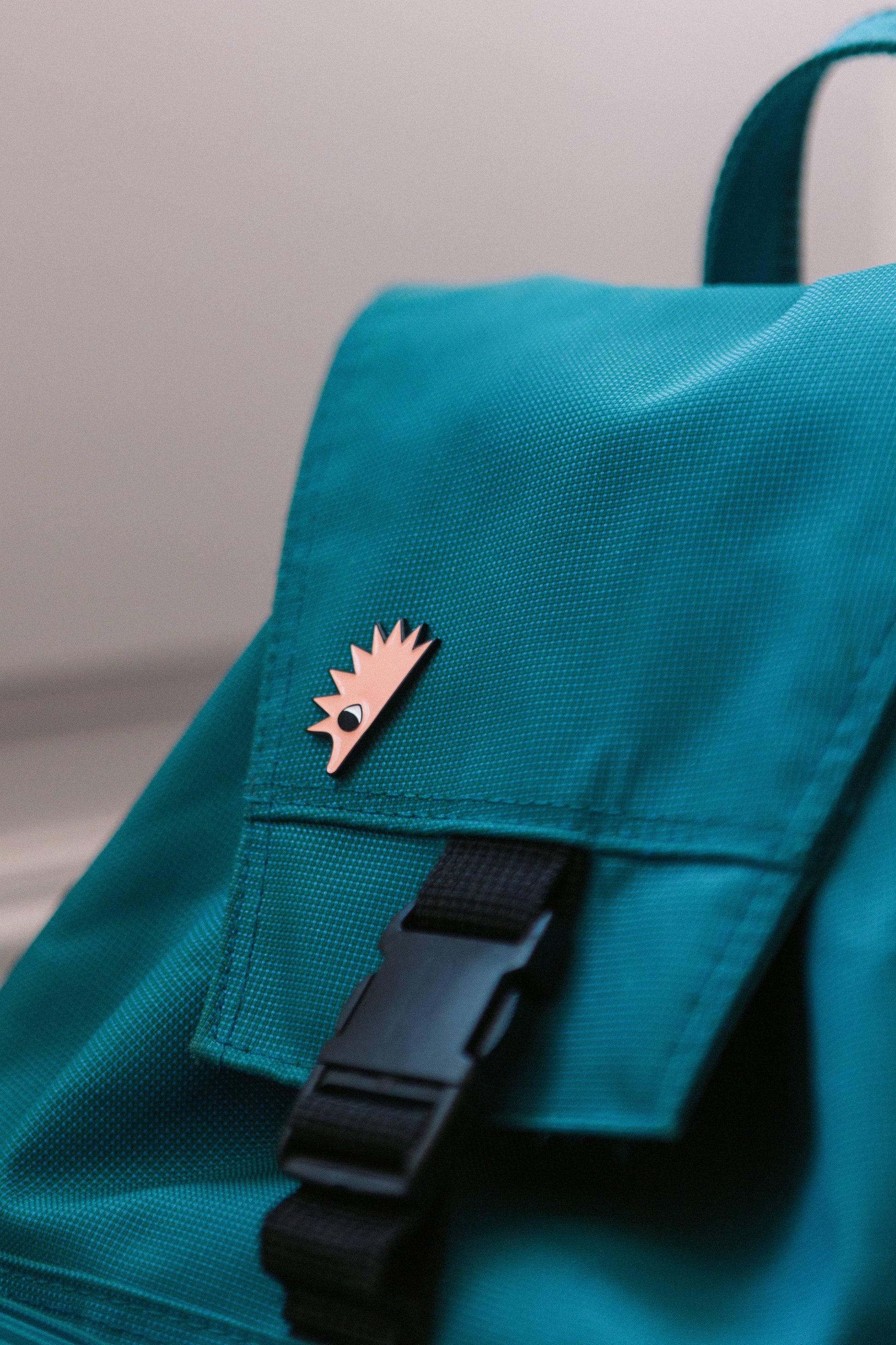 Pin Hedgehog