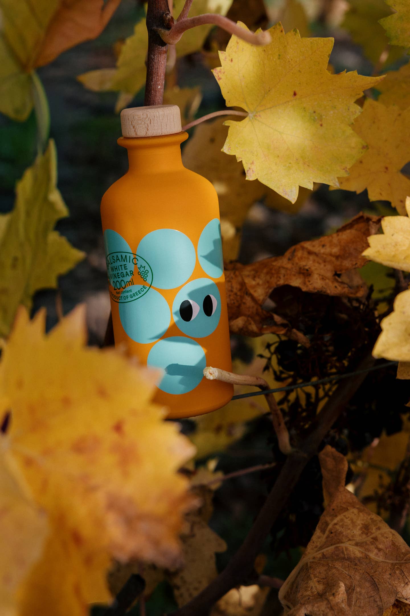 White balsamic Vinegar