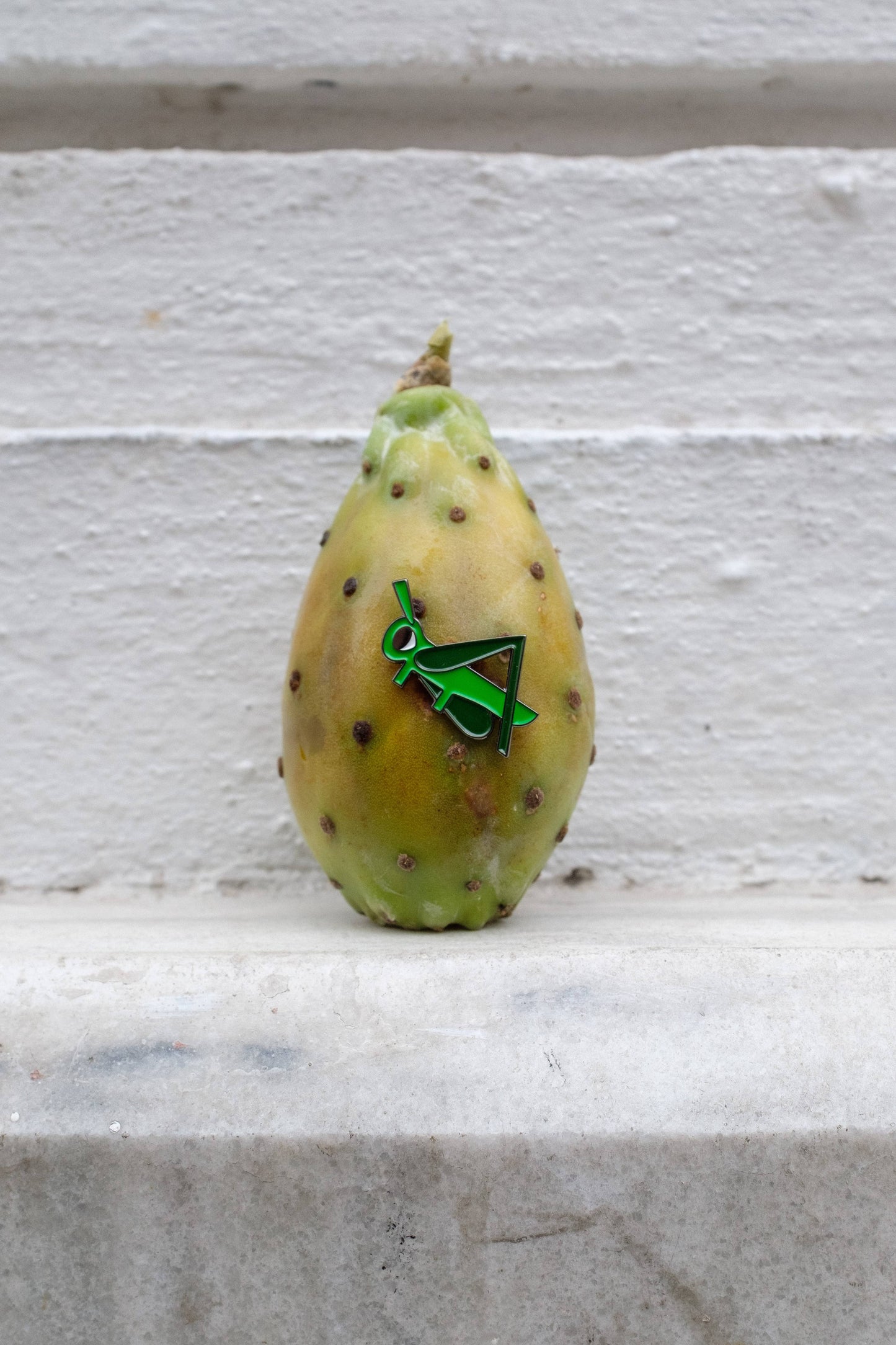 Pin Grasshopper