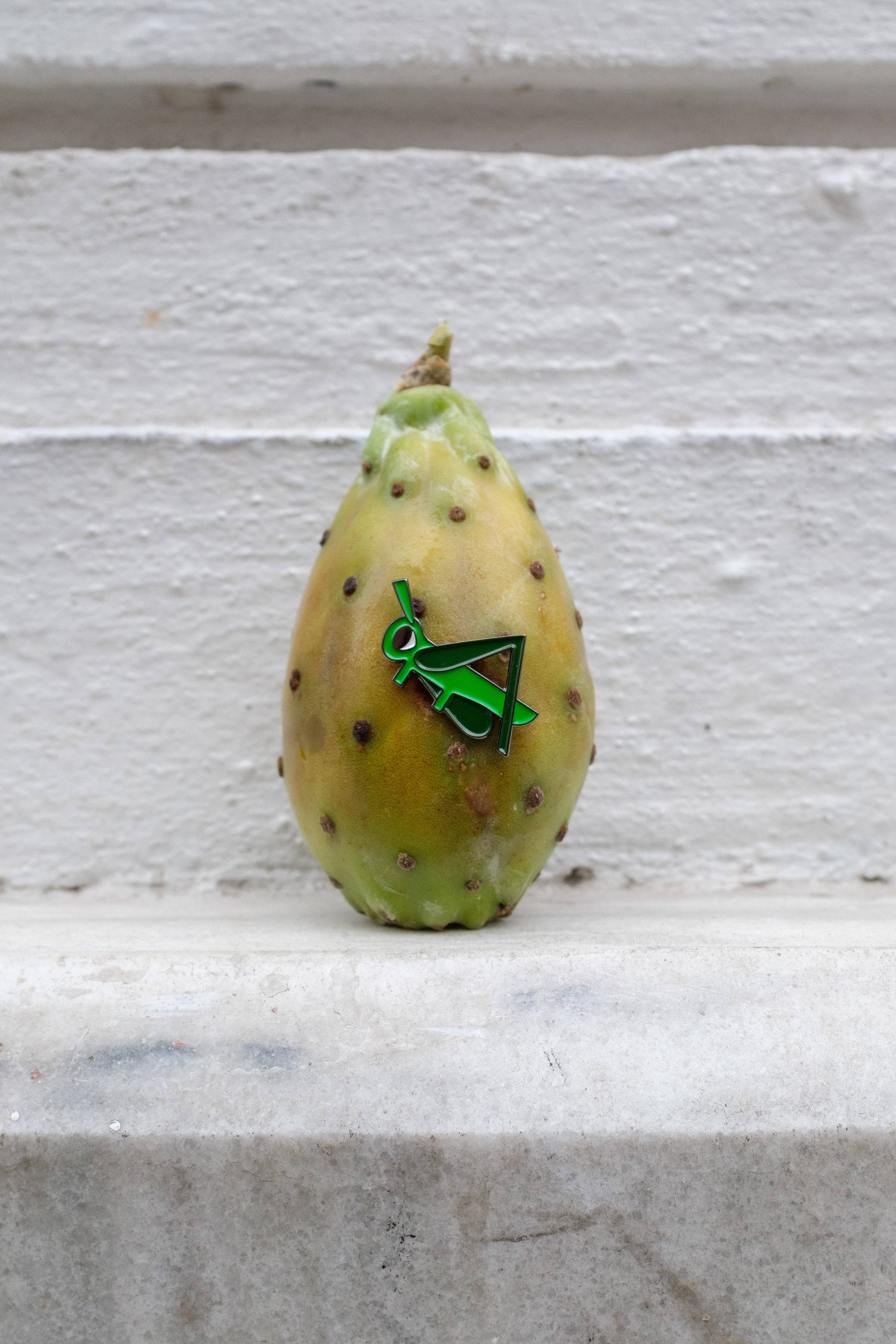 Pin Grasshopper