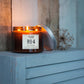 3-Wick Scented Soy-Wax Candle -Nr4 (Orange Blossom)