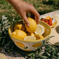 Ceramic Serving Bowl 1.5 L — Limone